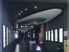 -卢米埃影城(住总万科杜比全景声激光店)