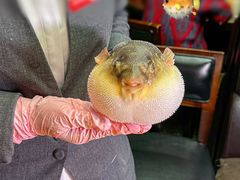 -永安鱼庄·镇江菜(东吴路店)