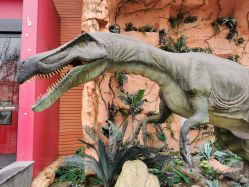 -宝燕乐园(闵行旗舰店)