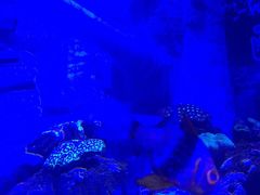 -烟台海昌鲸鲨海洋公园