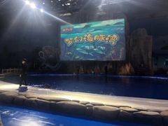 -华夏文旅海洋公园