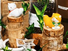 -循礼门鲜花花市(武汉循礼门店)