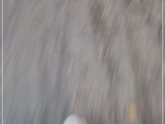 -奉天蚨祥饺子馆