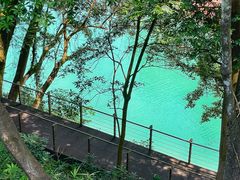 -广州市流溪河国家森林公园