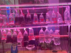 -华声天桥民俗文化园