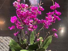 -黔蘑菇四季餐厅(观山湖店)