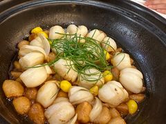 砂锅焗百合-金春禧(世茂国际广场店)