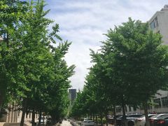 -东北大学(南湖校区)