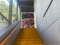 -No.DD戳子烧烤·江湖菜(北京总店)