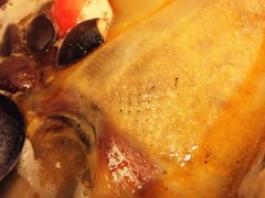 -红烧鸭老鸭汤(金泉路店)