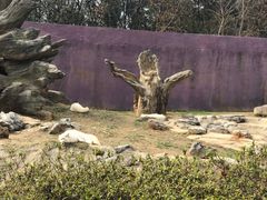 -杭州野生动物世界