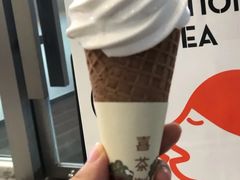 椰子雪糕-喜茶(广州北京路惠福东店)