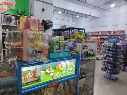 -逝水玩具折扣店