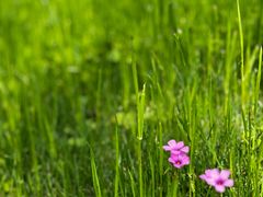 -巴厘龙虾·榜首油焖大虾(洞庭·艺术洋房店)