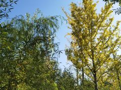 -北京园博大酒店