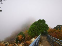 -圣莲山风景区
