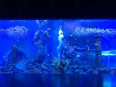 -哈尔滨波塞冬海底世界