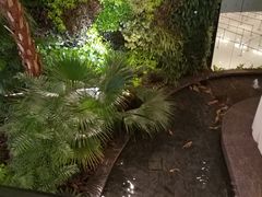 -贾特拉帕蒂·希瓦吉国际机场