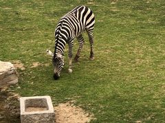 -祥源·阜阳生态乐园