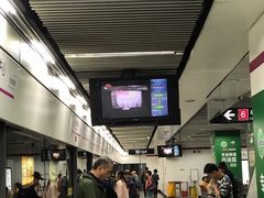 -东方体育中心(地铁站)