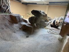 -宁波野生动物园