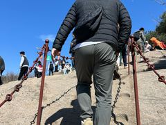 -鲁山国家森林公园