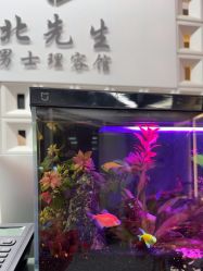 -风生造型