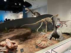 -自贡恐龙博物馆