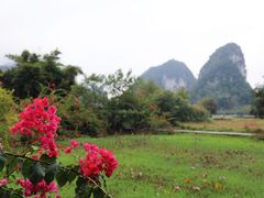-靖西鹅泉风景区