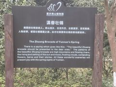 -南山植物园