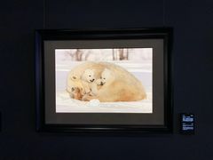 -罗红摄影艺术馆