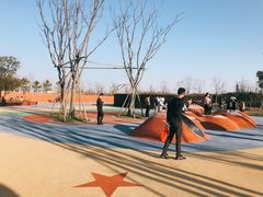 -春花秋色城市公园