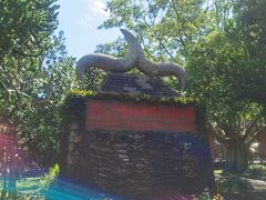 -海口火山口国家地质公园