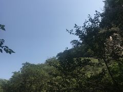 -北京上方山国家森林公园
