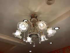 -阿拉丁新疆风味餐厅·清真(罗廊巷店)