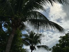 -海南清水湾莱佛士酒店