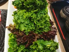 生菜拼盘-好牛烧肉(世茂广场店)