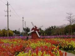 -广东花都香草世界旅游度假区