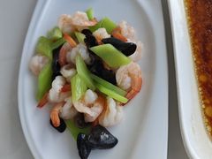 -云中小雅