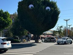 -特克斯八卦城