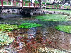 -水磨沟公园