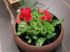 -旺顺阁·北京菜·烤鸭(大望路店)