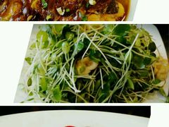 香椿苗拌桃仁-东四民芳餐厅(世茂工三店)