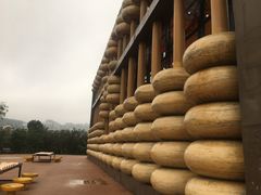-枫香湖儿童公园