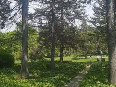 -黑龙江省森林植物园