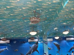 -小海豚•老字号海鲜餐厅(天涯店)