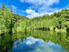 -广州市帽峰山景区