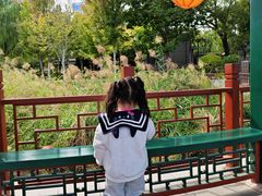 -西海子公园