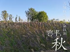 -汉长安城未央宫国家考古遗址公园