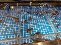 -韩京炭火烤肉自助料理(柯桥万达店)